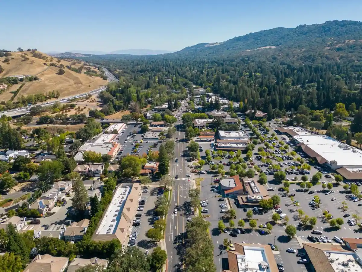 Roll-off dumpster delivered in Alamo, CA